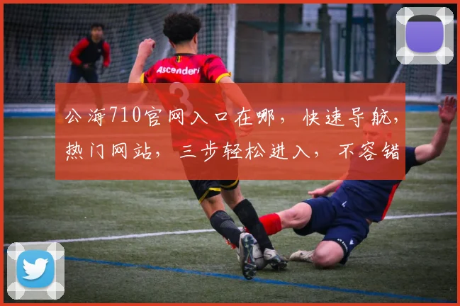 公海710官网入口在哪，快速导航，热门网站，三步轻松进入，不容错过