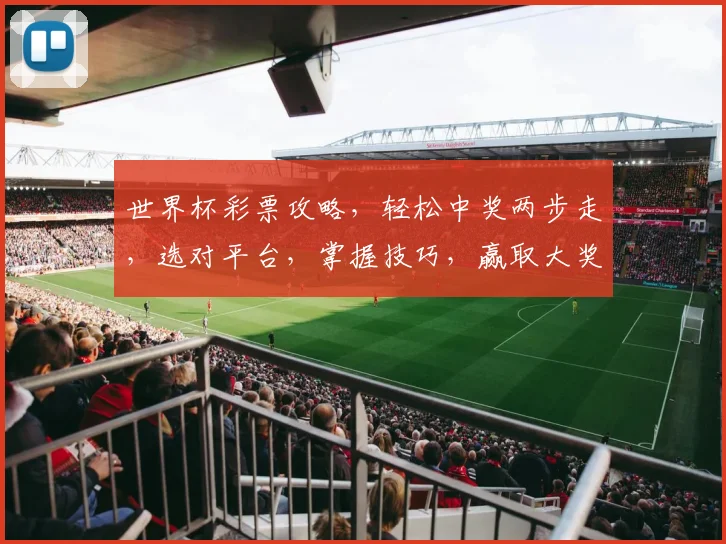 世界杯彩票攻略，轻松中奖两步走，选对平台，掌握技巧，赢取大奖