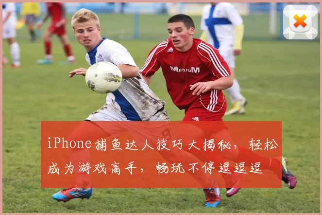 iPhone捕鱼达人技巧大揭秘，轻松成为游戏高手，畅玩不停逗逗逗