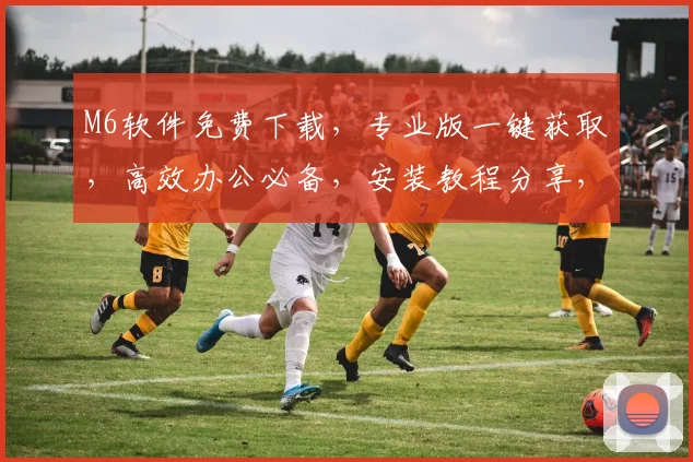M6软件免费下载，专业版一键获取，高效办公必备，安装教程分享，快速上手